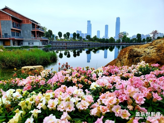 《每周星鲜事》第23期:春天来了