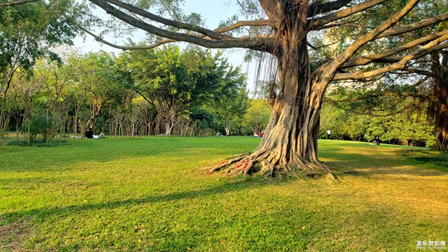 《每周星鲜事》第23期:春天来了