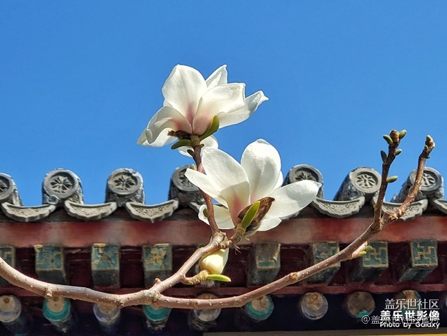 《每周星鲜事》第23期:春天来了