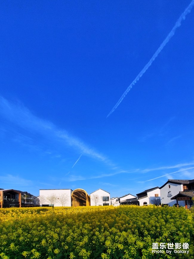 《每周星鲜事》第23期:春天来了