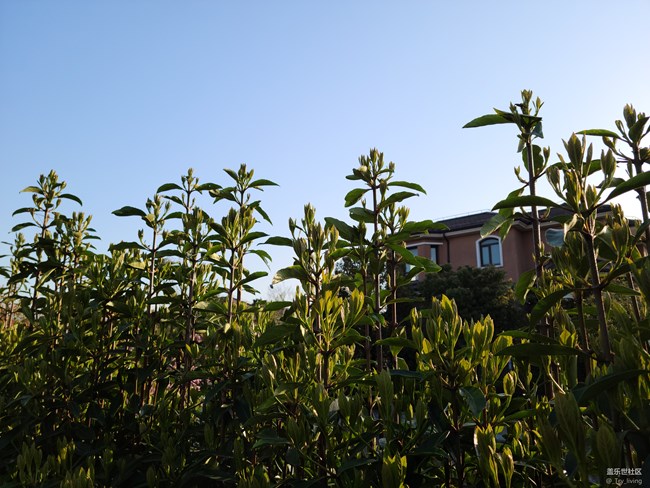 S20+ 5G体验——臻于至善的新旗舰