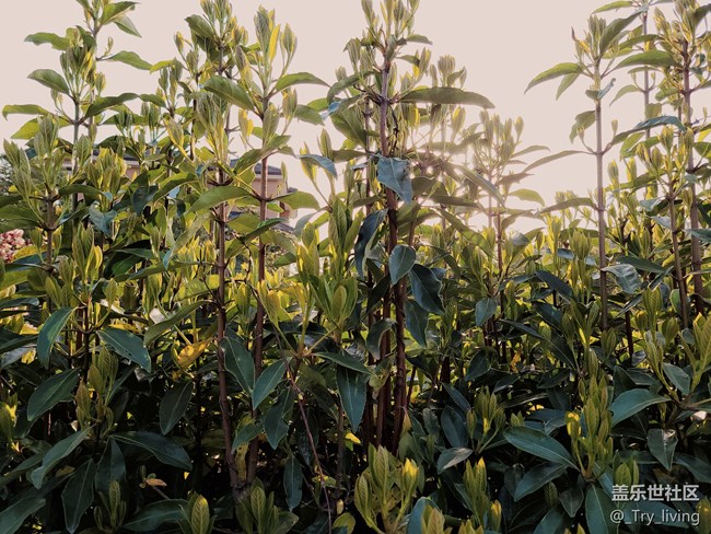 S20+ 5G体验——臻于至善的新旗舰