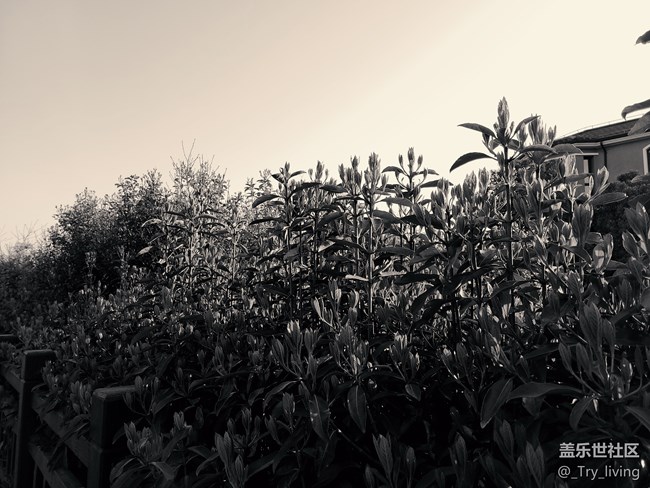 S20+ 5G体验——臻于至善的新旗舰