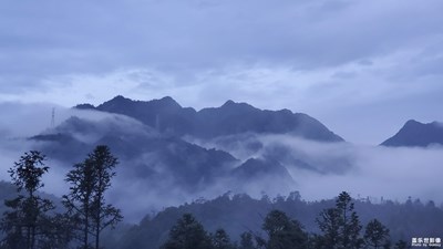那山那雾