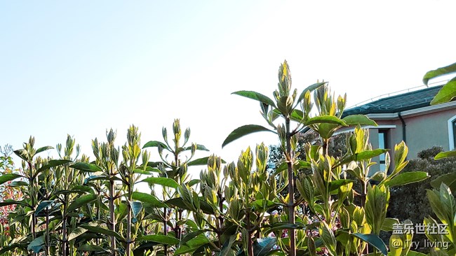 S20+ 5G体验——臻于至善的新旗舰