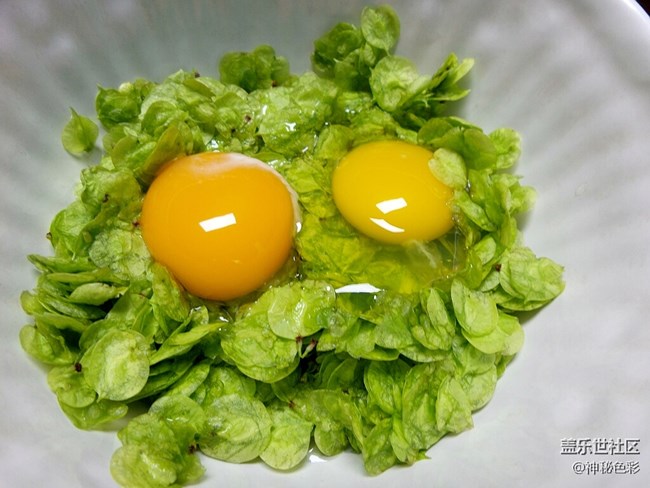 【家乡味道】 美味榆钱