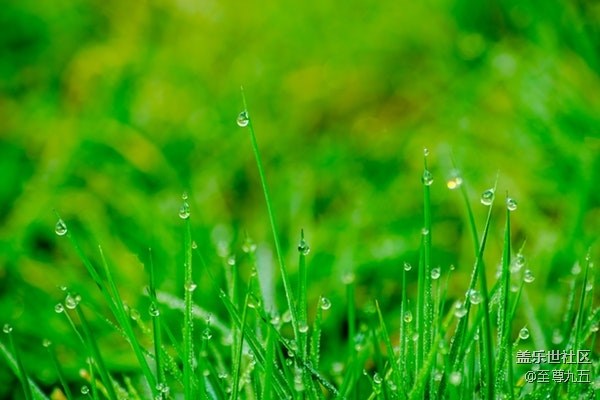 已开奖【A版块4月第1周话题活动】聊聊你的踏青计划
