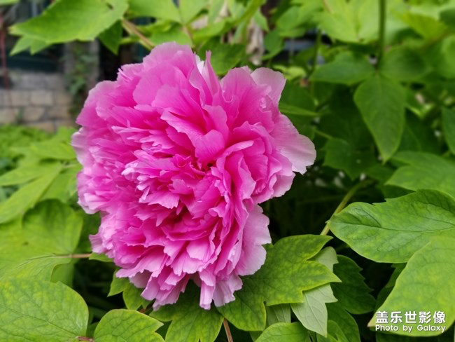 《每周星鲜事》第24期：春暖花开