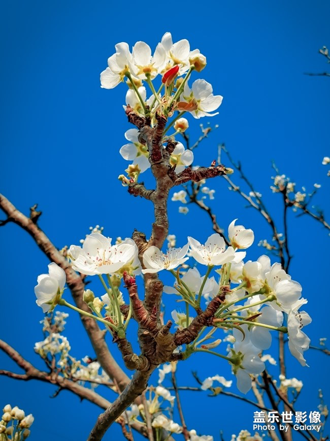 《每周星鲜事》第24期：春暖花开