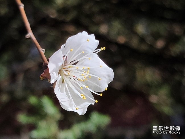 《每周星鲜事》第24期：春暖花开