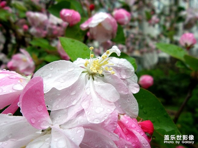 《每周星鲜事》第24期：春暖花开