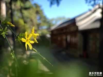 【最美瞬间】+点点黄