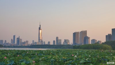 【最美瞬间】+随手拍遇到的景