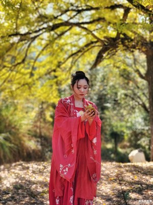 古银杏树下