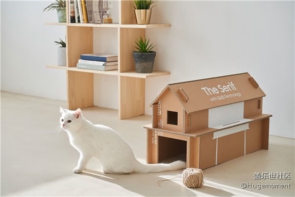 拆完的包装盒可被做成猫屋，隔壁橘猫都“馋哭了”