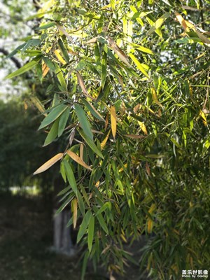 【光影色彩】+春光里