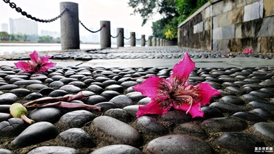 【希望】+希望之路