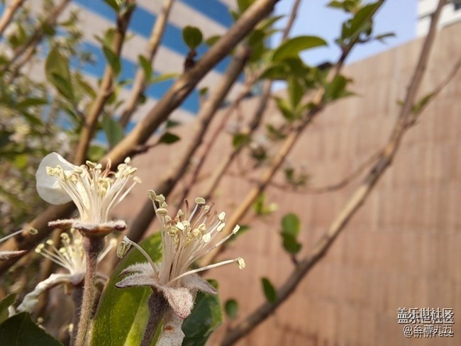 已开奖【A版块4月第4周话题活动】微距下的世界
