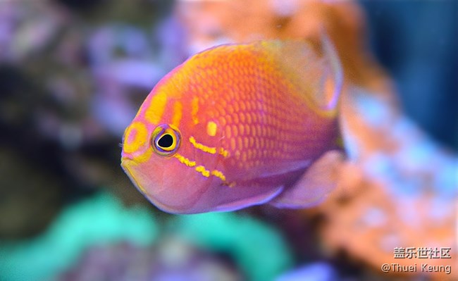 海洋馆随拍