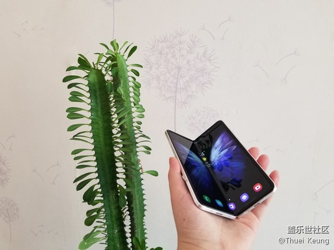 开合之间，难言锋芒  W20图赏