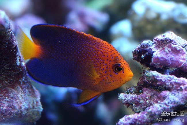 海洋馆随拍