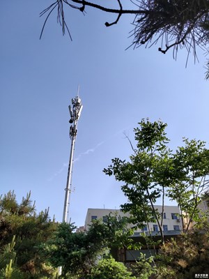 【春日丽影】+ 春光灿烂