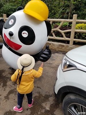 【精彩翻倍】随拍