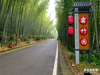 【精彩翻倍】+ 茶山竹海