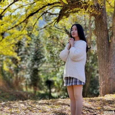 古银杏树下的等待