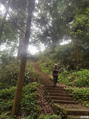 昨天出去拍了几张，多多指教