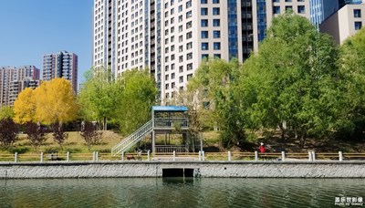 已开奖【盖乐世影像周赛第141期】——在夏日