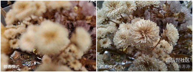用三星Galaxy A71 5G开启你的微观世界