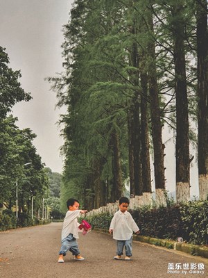 夏日夕阳下 复古调