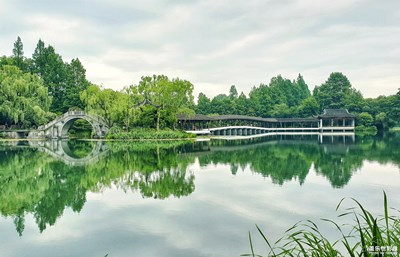 在夏日+杭州的夏天
