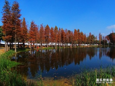 [精彩翻倍]——穿行在山水花卉间