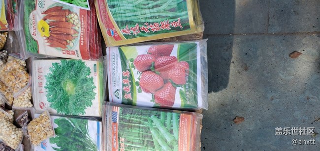 五月仙居行
