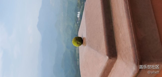 五月仙居行