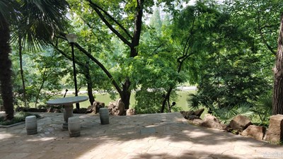 【在夏日】+午间的河边