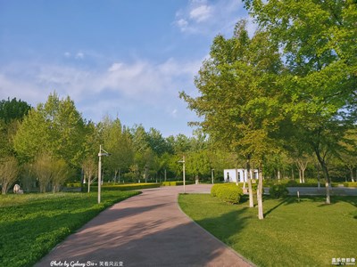 GalaxyS10+  公园小景