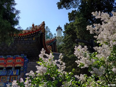 【我美丽城】+美丽北京