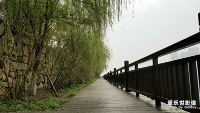 随手拍