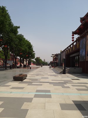 【我美丽城】+西安.大雁塔
