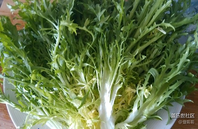 【快手小凉菜】炎热的夏季来一个凉拌苦菊