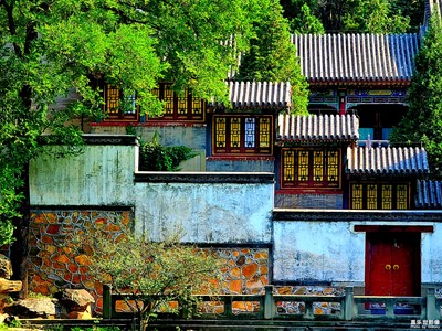 长焦小景