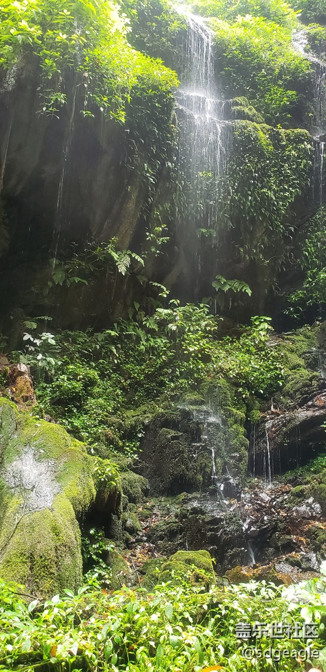 最近在云南出差，发几张云南美景