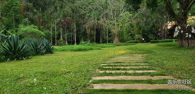 最近在云南出差，发几张云南美景