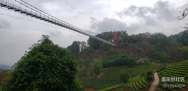 最近在云南出差，发几张云南美景