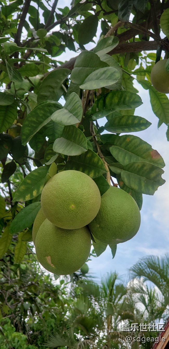 最近在云南出差，发几张云南美景