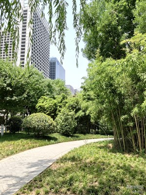 【光影生活】+ 夏日天空