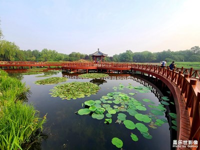 圆明园小景